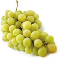 vendita+uva+sicilia2756 Uva Italia